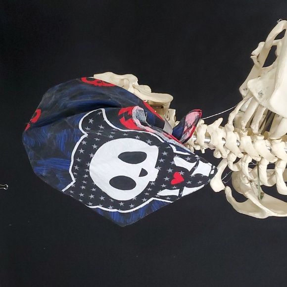 VTG Hot Topic Skelanimals Kit The Cat Square Bandana Scarf Accessory Sz 20"x 20" - Picture 13 of 16